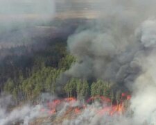 Пожар в Чернобыле, фото из открытых источников