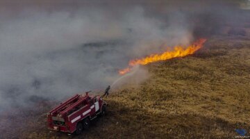 Пожар в Чернобыле, фото Facebook ГСЧС