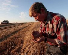 По библейскому сценарию: Крым пострадал от небывалого бедствия 