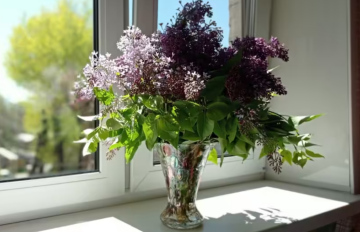 Бузок, фото із соцмереж