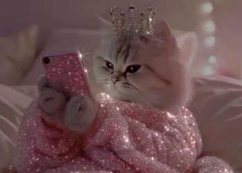 Гороскоп, изображение: Pinterest