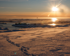 Антарктида, фото: facebook.com/AntarcticCenter