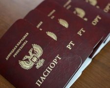 МИД России оправдался за паспорта "ЛДНР"