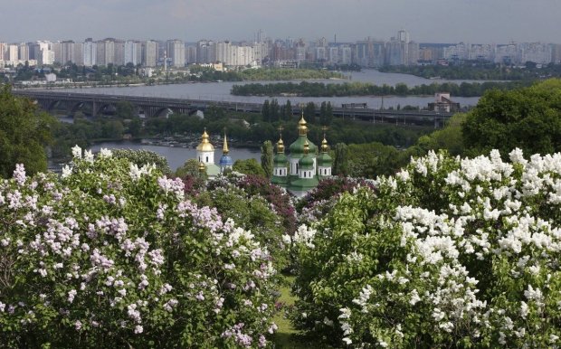 В Украину придут заморозки: синоптики предупредили о коварной ловушке стихии