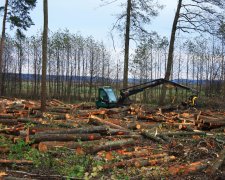 Вирубування лісів в Україні