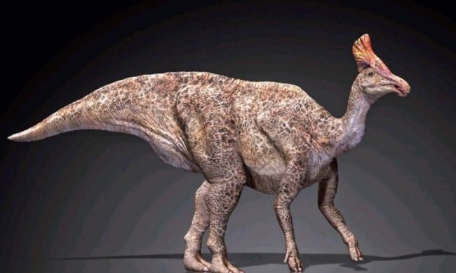 Китайці знайшли залишки "фазанозавра"