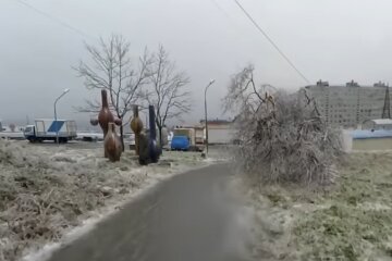 Владивосток, фото: кадр из видео