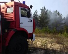 Не наші проблеми: Гройсман відхрестився від лісових пожеж