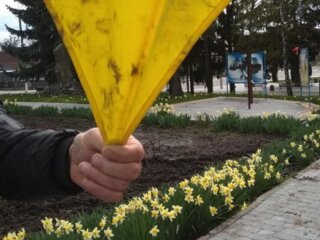 Надругательство над флагом, фото: Инна Суверток / Facebook