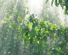 Традиційний Великодній дощ відміняється