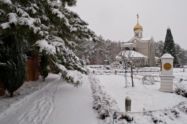 Погода на 29 декабря: выходные подмочат настроение украинцам