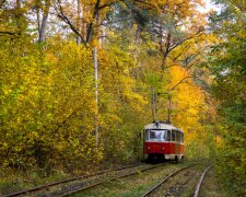 Погода на 25 сентября: ночи станут теплее, но не везде