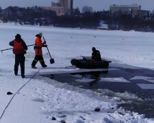 На Львівщині небайдужі рятували лебедів, фото з фейсбук