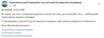 Публикация Чернобыльского Радиационно-экологического Биосферного Заповедника: Facebook