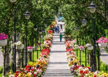 Українці, фото із соцмереж