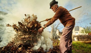 Дорогая листва: почему лучше не разжигать костры и сколько придется платить за это развлечение