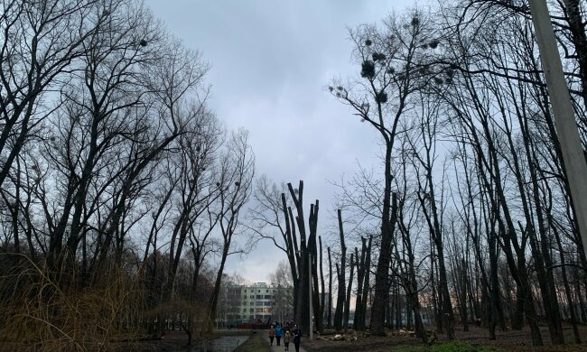 Парк / фото: Афина Черкезова