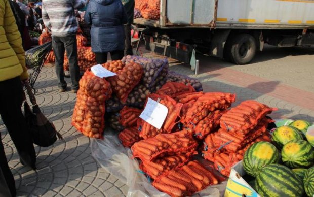 Запасы на зиму: насколько подорожали продукты в Украине