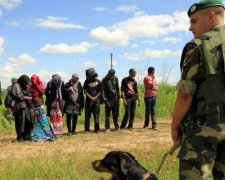 Азіатські нелегали потрапляють в ЄС через Україну