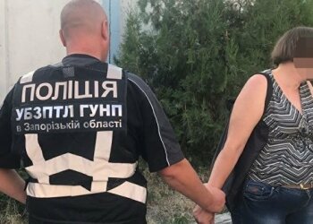 Задержание, фото Нацполиции