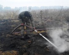 Під Черніговом тліє 14,5 гектарів торфу