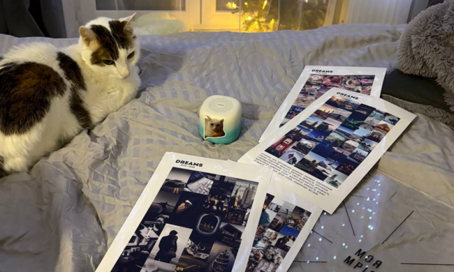 Карта бажань, котик, фото: Знай.ua