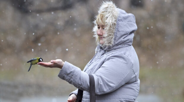 Теплая зима загостилась в Киеве: чем удивит погода 21 декабря