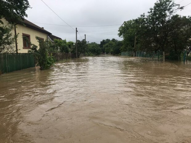 Слуги народа Зеленского кинули жертвам наводнения на Прикарпатье жалкую подачку - обещали миллионы