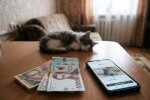 штраф кошенята гривні оголошення