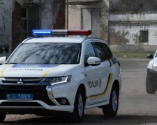 У Києві нахабнорукий підліток зробив страшне з пенсіонеркою - чекав на кладовищі