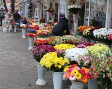 Українці почали купувати більш дешеві квіти