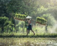 Не може смоктати: звичайне село шокував небувалий мутант