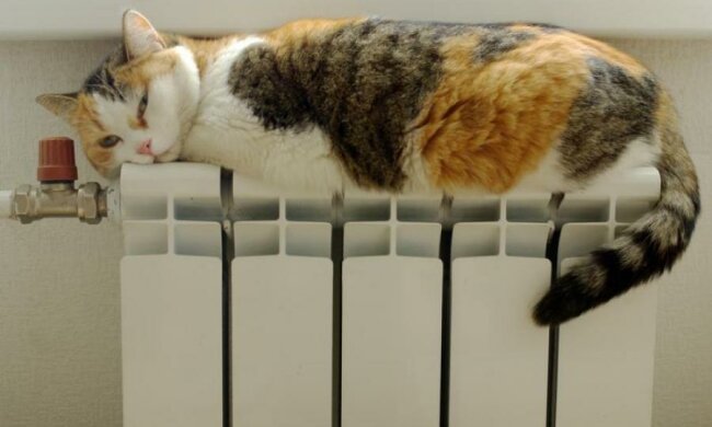 Креативные украинцы придумали, как греться зимой за копейки