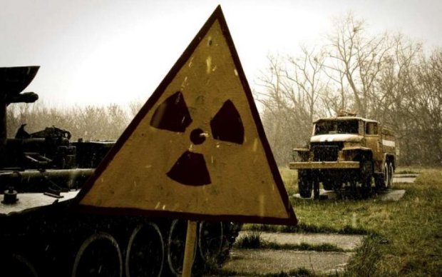 США прихистять 200 патлатих безпритульних чорнобильців
