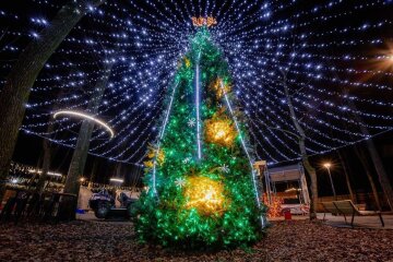 Новий рік, ялинка, фото із соцмереж