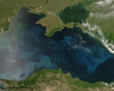 Україна з космосу: NASA вразило неймовірним фото