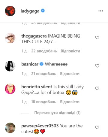 Комментарии instagram.com/ladygaga