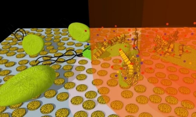 Наночастки з золота спалюють хвороботворні бактерії