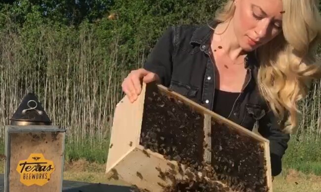 Пчеловодка Эрика Томпсон, instagram.com/texasbeeworks