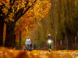 Українці, осінь, фото із соцмереж