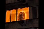 В Киеве посланника древней цивилизации "поселили" на балконе многоэтажки - вместо белья и старых лыж