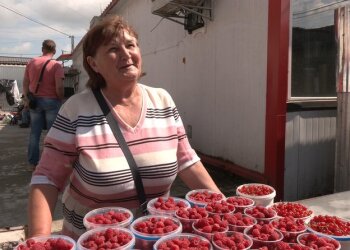 Продавщица малины, Суспільне Тернопіль