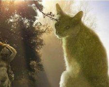 Коты-кусты Ричарда Сондерса - новый хит сети