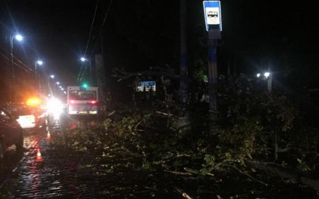 Внезапный ураган всего за несколько минут натворил беды в Черновцах