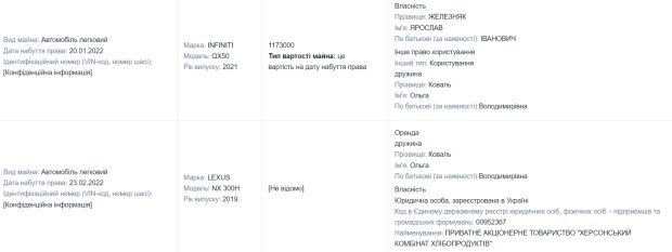 Декларация Ярослава Железняка / фото: скриншот Единого реестра деклараций