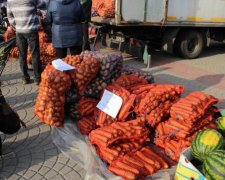 Запасы на зиму: насколько подорожали продукты в Украине