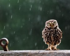 На Україну чекають складні погодні умови