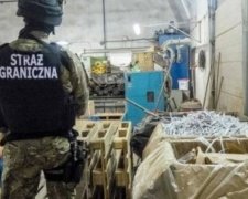 Польська поліція позбавила світ підробної віагри