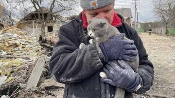 Чоловік втратив сім'ю, у нього залишився лише кіт / CNN