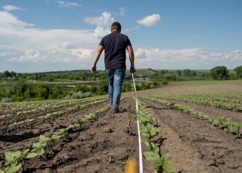 Чоловік міряє земельну ділянку